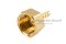 ข้อต่อหางไหลทองเหลือง เกลียวในเสียบสาย (เกลียวใน x หางไหล) ขนาด 1/2" x 6 mm