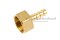 ข้อต่อหางไหลทองเหลือง เกลียวในเสียบสาย (เกลียวใน x หางไหล) ขนาด 1/2" x 8 mm