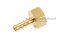 ข้อต่อหางไหลทองเหลือง เกลียวในเสียบสาย (เกลียวใน x หางไหล) ขนาด 1/2" x 8 mm