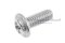 น็อตหัวกลมแฉกแบบติดแหวน สแตนเลส (Phillip Round Head Screw with Flange) ขนาด M4x10 เกลียวตลอด