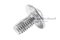 น็อตหัวกลมแฉกแบบติดแหวน สแตนเลส (Phillip Round Head Screw with Flange) ขนาด M4x8 เกลียวตลอด