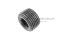 ปลั๊กอุดตัวหนอนดำ 3/8" NPT - 18