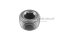 ปลั๊กอุดตัวหนอนดำ 3/8" NPT - 18
