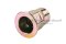 รีเวทนัทเหล็กชุบรุ้ง รุ่นคอเหลี่ยมหัวแบนกลม 1/4" เกลียว 20 Rivet Nut