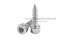 สกรูเกลียวปล่อยหัวจมสแตนเลส (Hex Socket Self Tapping Screw) M3x12