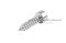 สกรูเกลียวปล่อยหัวจมสแตนเลส (Hex Socket Self Tapping Screw) M3x12