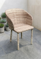 Artificial rattan dinner set