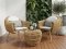 Artificial rattan dinner set