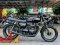 Triumph T100 Black ABS จดปี 2019ดาวน์เริ่มต้น 29,000 บาท  ผ่อน 7,072 x 48เดือน ➖ผ่อน 6,029 x 60เดือน