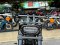 Harley-Davidson Fat Bob 114 abs จดปี 2024