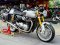 Triumph Thruxtin R1200 ABS จดปี2019