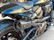 Harley-Davidson Sportster® S จดปี 2022