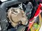 HONDA CBR650F ABS LED จดปี 2018