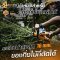 COOFIX เครื่องแต่งกิ่งไม้ไร้สาย  20V SET 2.0 Ah CF-LHT001