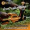 COOFIX เครื่องแต่งกิ่งไม้ไร้สาย  20V SET 2.0 Ah CF-LHT001