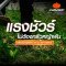 PUMPKIN เครื่องตัดหญ้าไร้สาย 50564 ( INF-946BCB-401K-X20 )