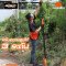 PUMPKIN ด้ามต่อเลื่อยโซ่ตัดกิ่งไม้สูงไร้สาย 20V INF-TP32-50374
