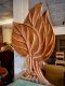 SC2 Leaf Wooden Chairs Set of 6