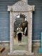 Large White Mirror with Carved Elephants