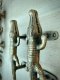 Crocodile Brass Door Handles