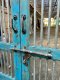 Antique Entrance Gate Door with Glass