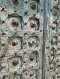 Antique Wooden Door with Brass and Carving