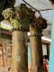 Antique Wooden Pillars