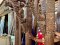 Antique Wooden Columns