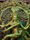 Sri Shiva Rare Brass Statue