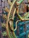 Brass Lord Shiva Statue