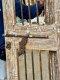 Antique Wooden Door