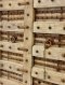 Antique Wooden Door