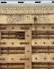 Antique Wooden Door