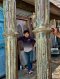 Antique Wooden Pillars Set of 2