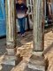 Antique Wooden Pillars Set of 2