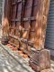 Legacy Old Teak Door Large Entrance Gate