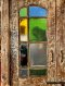 Antique Wooden Door