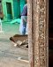 Indian Mirror In White Washed Color