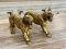 Brass Tiger Statue