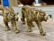 Brass Tiger Statue