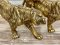 Brass Tiger Statue