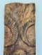 Antique Wooden Naga Panel
