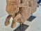 Wooden Horse Statue Set of 2