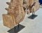 Wooden Horse Statue Set of 2