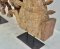Wooden Horse Statue Set of 2