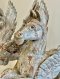 Wooden Horse Pegasus Set of 2