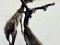 Deer Brass Statue Set of 2