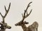 Deer Brass Statue Set of 2