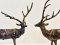 Deer Brass Statue Set of 2