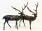 Deer Brass Statue Set of 2